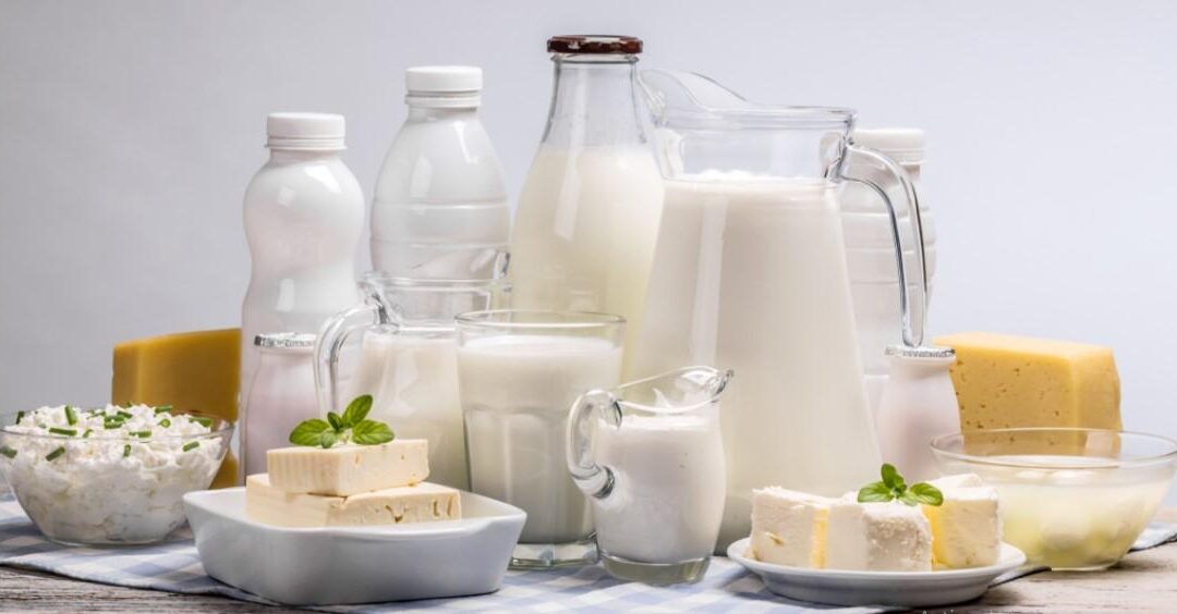 Les produits laitiers font-ils grossir ?