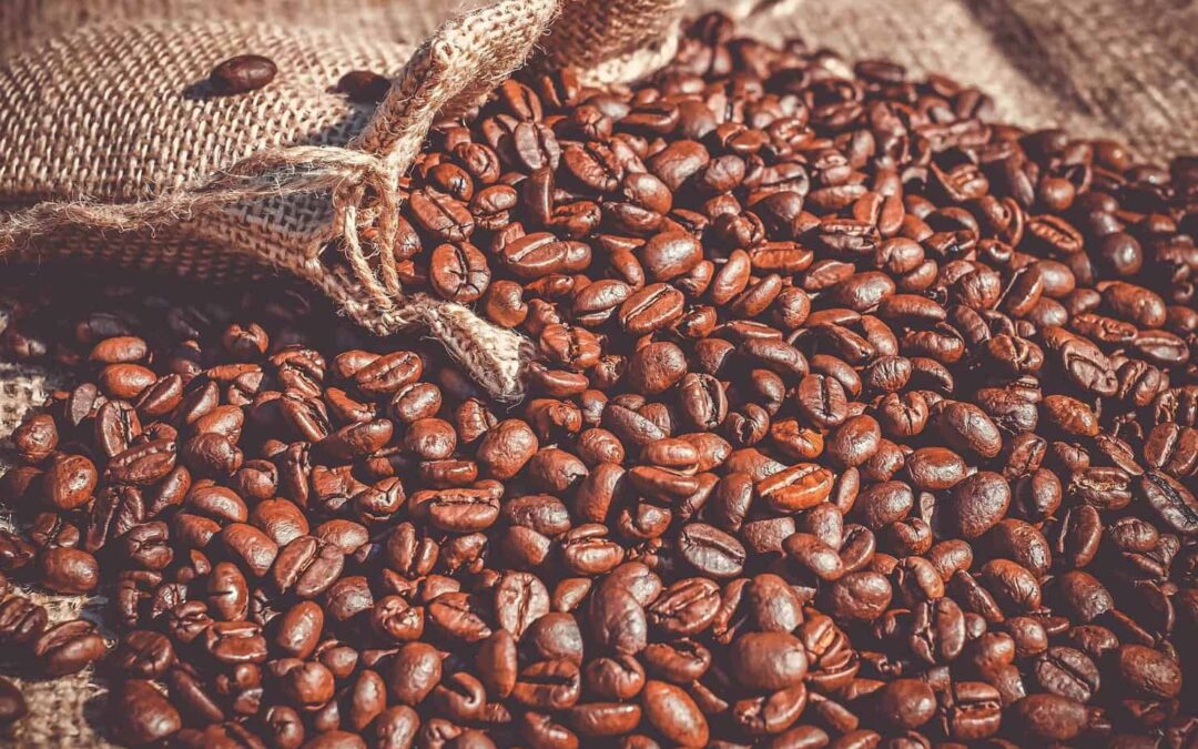 Comment faire du café en grains ?